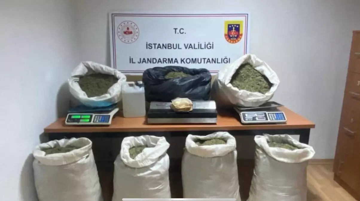 İçişleri Bakanı Yerlikaya, 12 İlde Uyuşturucu Operasyonu Düzenlendi